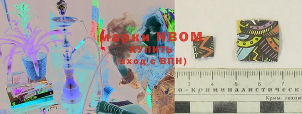 дмт Осташков