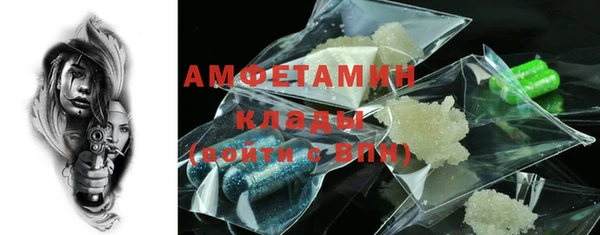 молекула духа Болотное