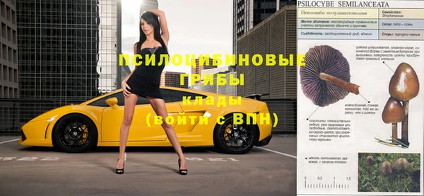таблы Бутурлиновка