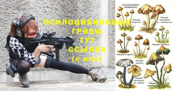 хмурый Остров