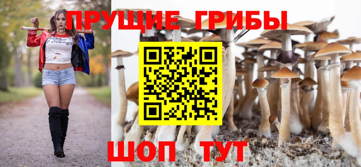 Псилоцибиновые грибы MAGIC MUSHROOMS Иркутск